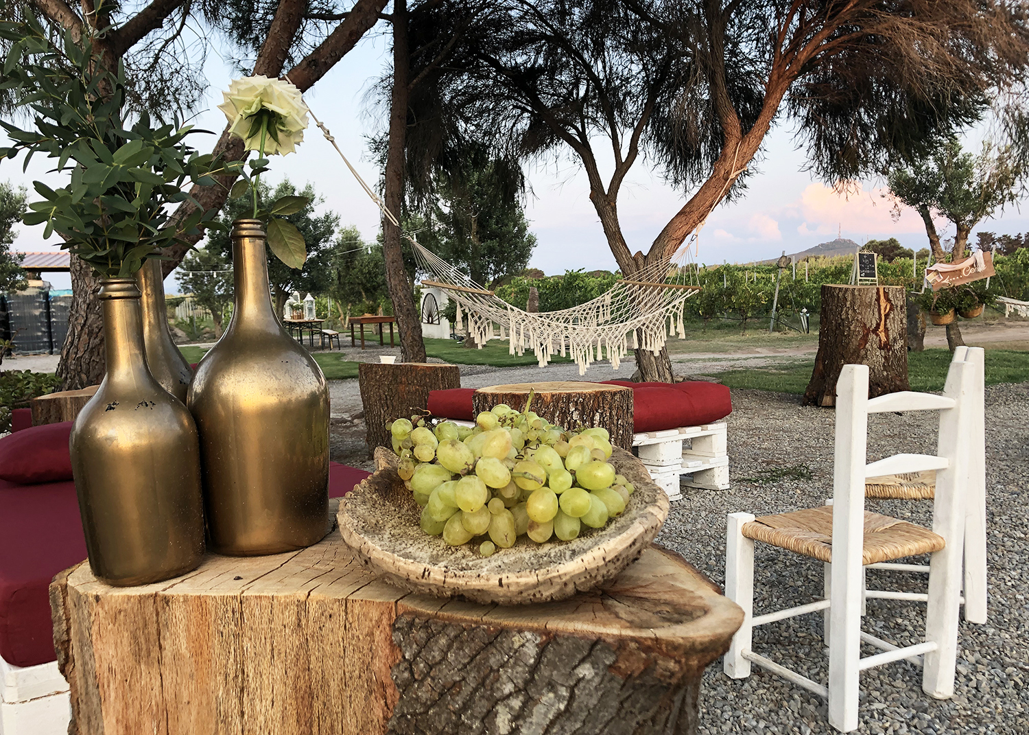 Winery - Tenuta La Sabbiosa