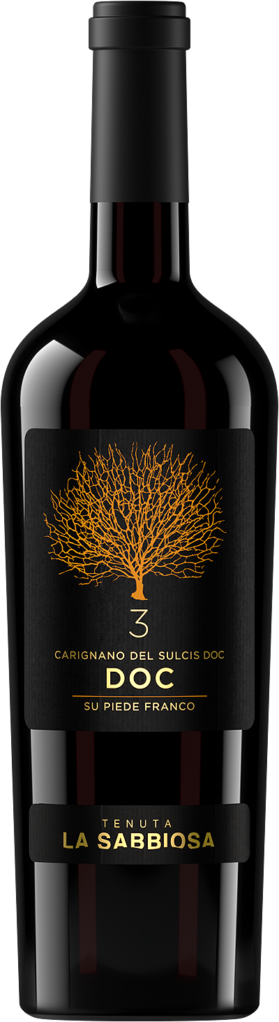 Wine Doc - Tenuta La Sabbiosa